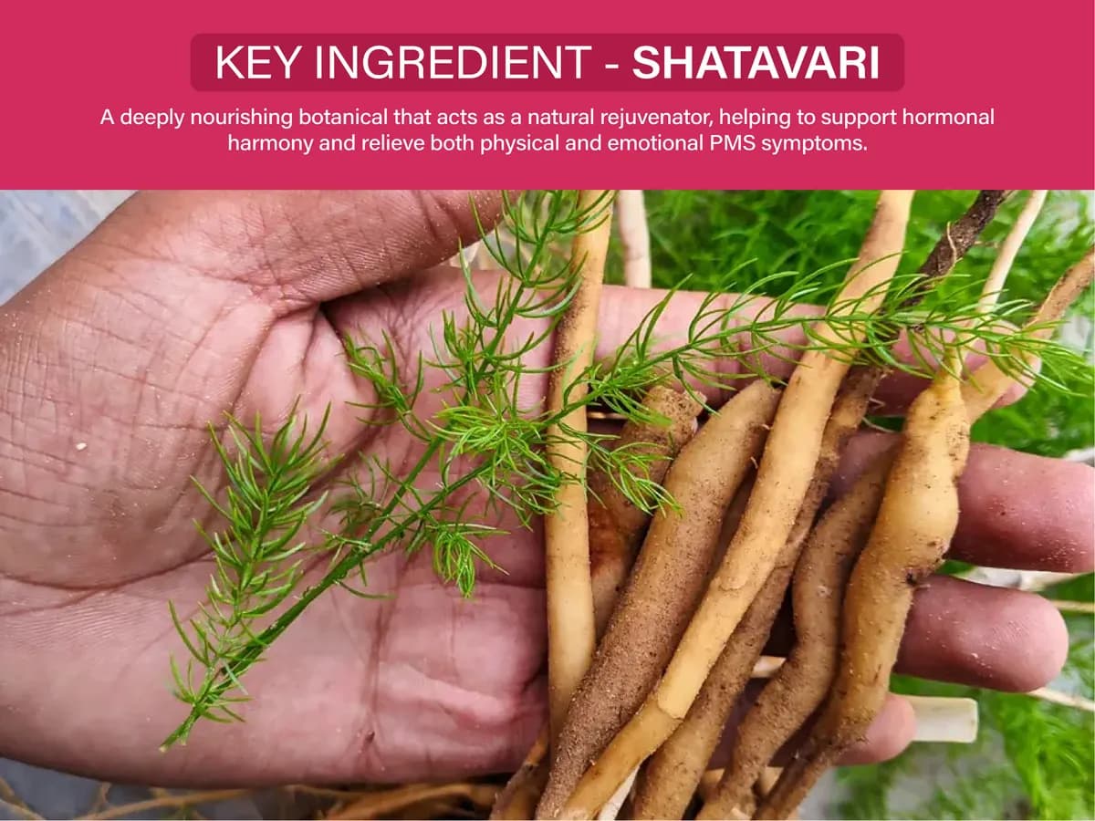 Key ingredient: Shatavari